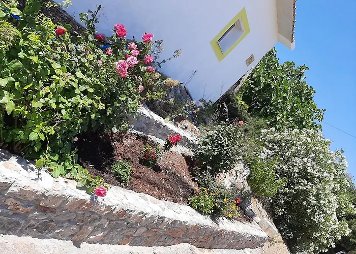 Lemon Garden 1