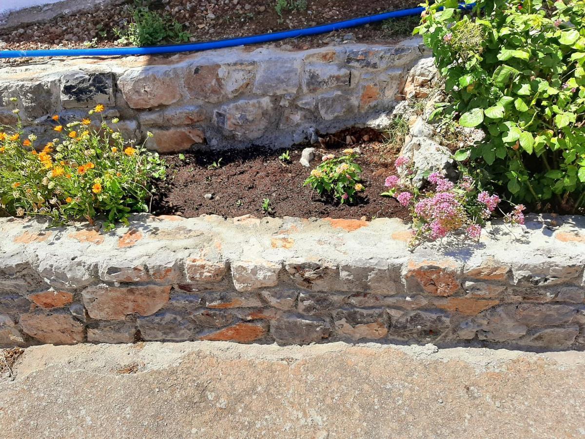 Holiday home Lemon Garden 1