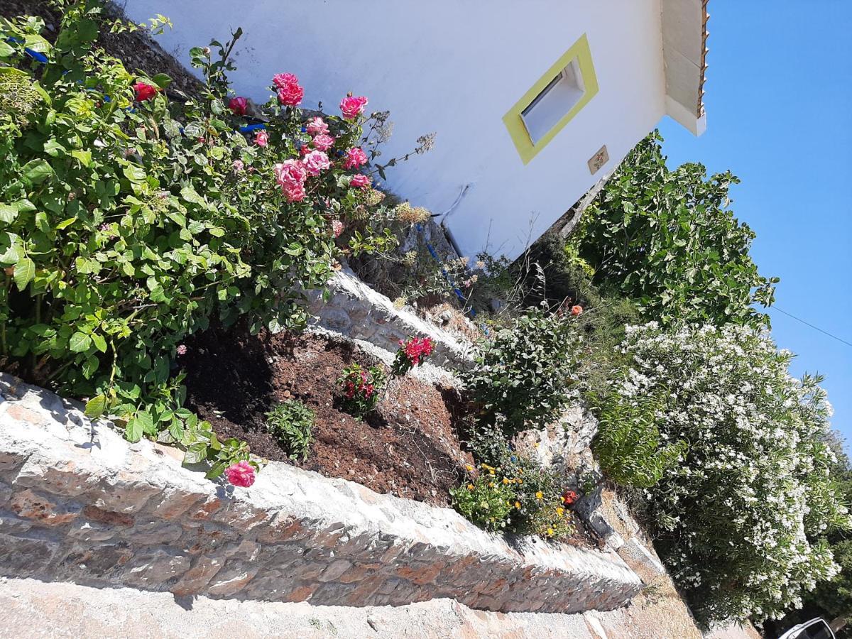 Lemon Garden 1 *